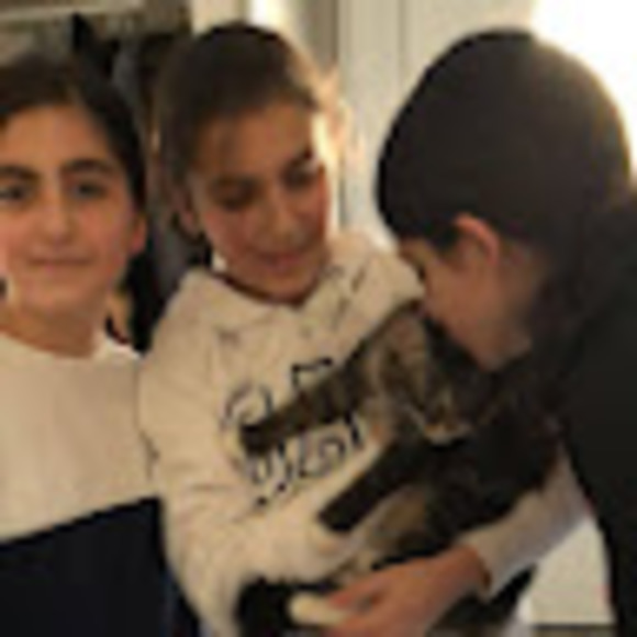sireenbazzi